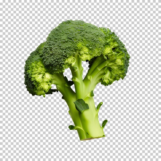 Verse broccoli png op witte en doorzichtige achtergrond.
