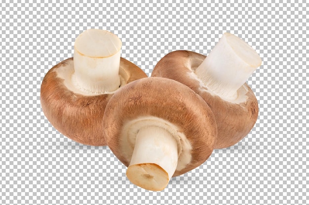 PSD verse champignonpaddestoelen geïsoleerd op alfalaag