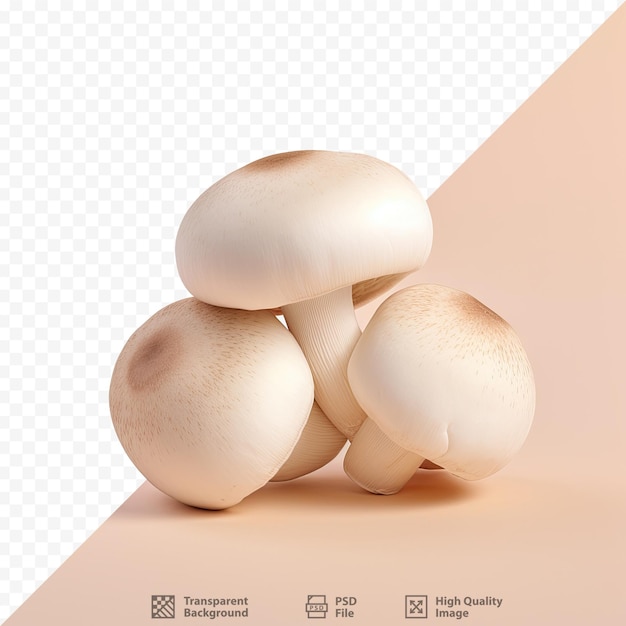 PSD verse champignons op een transparante achtergrond, volledig in focus