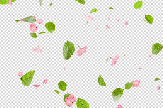 PSD verse groene bladeren met roze bloemen op de achtergrond