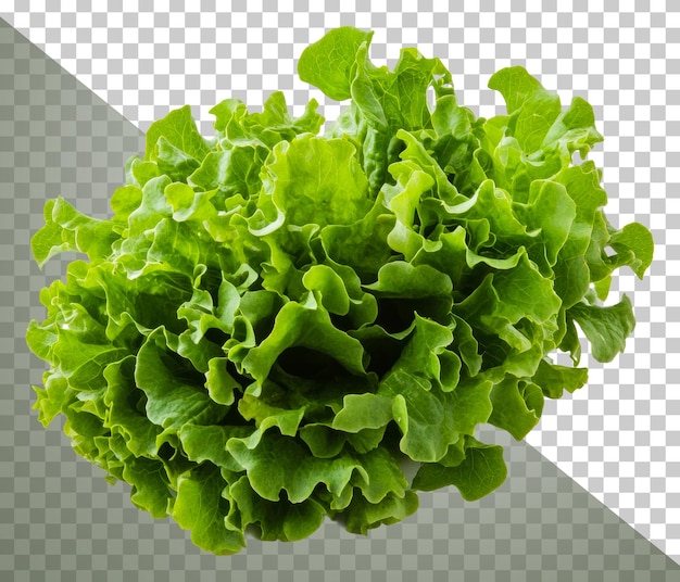 Verse groene sla klaar voor de bereiding van salade uit de voorraad png