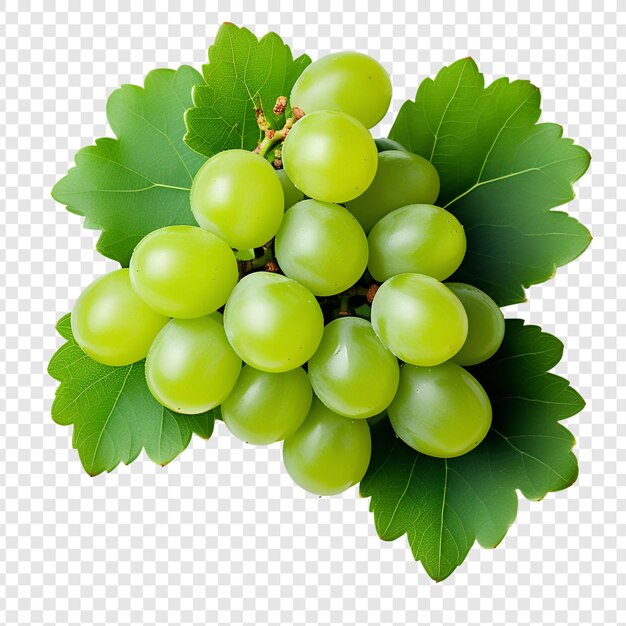 Verse groene wijn druiven png geïsoleerd op doorzichtige achtergrond premium psd