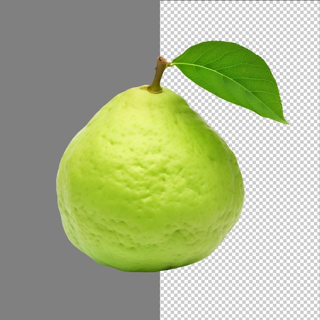 Verse guava-vruchten met bladen geïsoleerd op transparante achtergrond png psd
