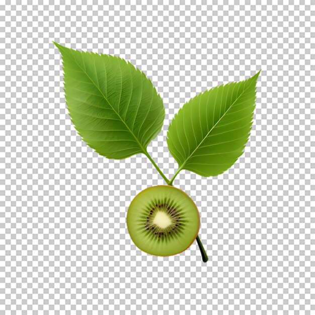 PSD verse kiwi met groene bladeren op transparante achtergrond