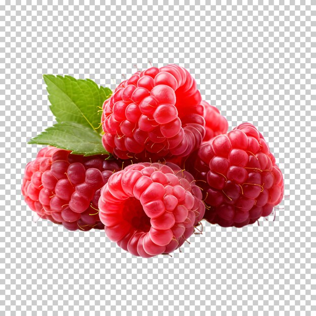 PSD verse raspberry geïsoleerd op een doorzichtige achtergrond.