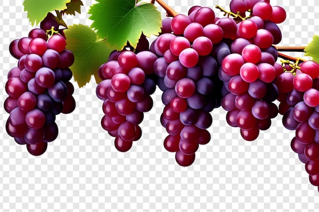 PSD verse rode druiven met png-bladeren geïsoleerd op een doorzichtige achtergrond