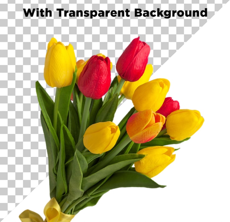 PSD verse tulpenbloemen foto png psd op doorzichtige achtergrond