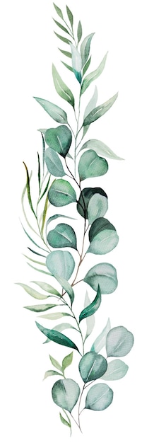 vertical bouquet with green watercolor eucalyptus leaves pastel wedding isolated illustration