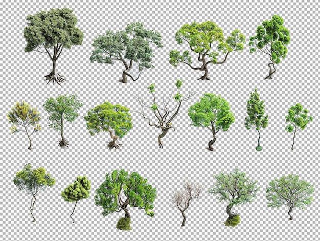 Verzameling bomen