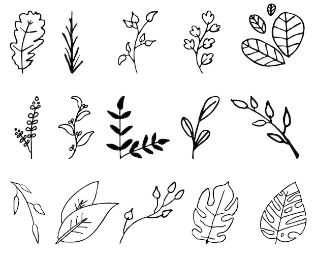 Verzameling van omtrekbladeren Planten Element PSD-sjabloon