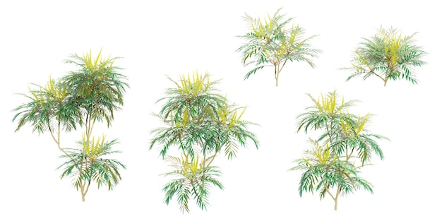verzameling van op een witte achtergrond geïsoleerde druivenbloemplanten