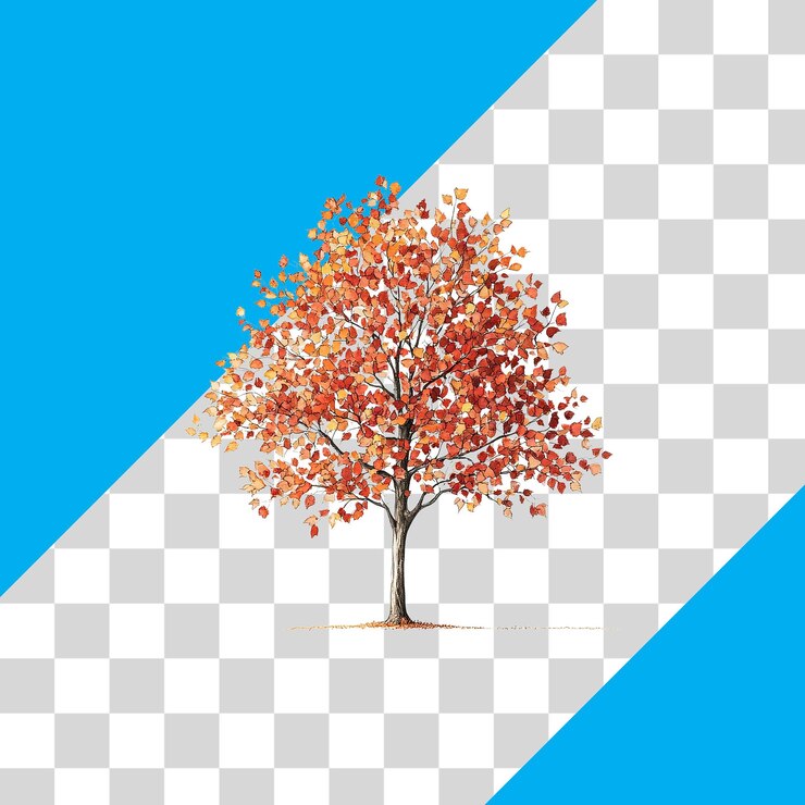 PSD vibrant autumn tree with colorful leaves