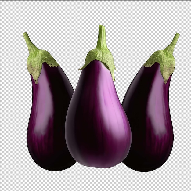 Vibrant Eggplant Clipart for Food Lovers