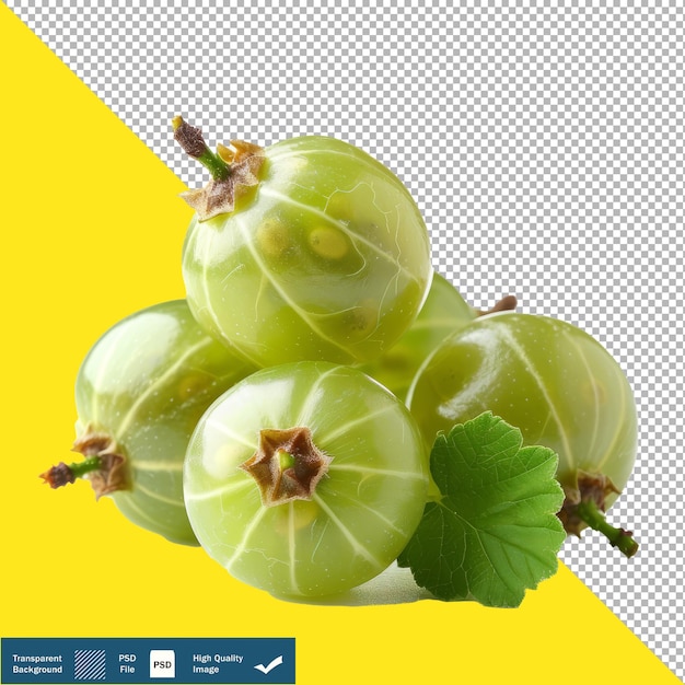 PSD vibrant gooseberry transparent background png psd