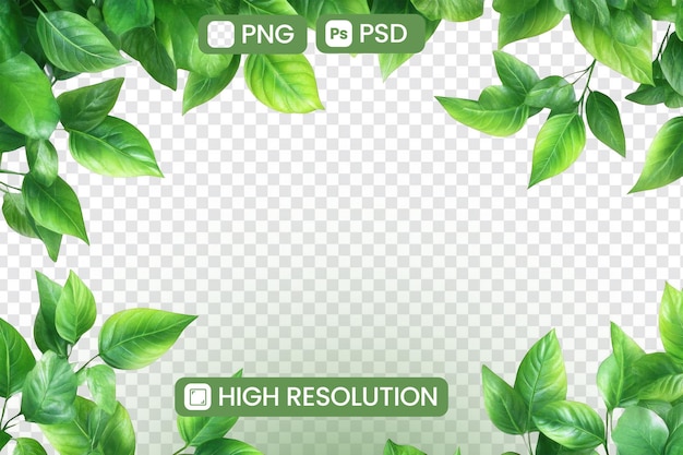 Вибративные зеленые листья Рамка высокого разрешения PNG PSD для дизайнерских проектов Цифровое искусство Природные макеты и ботанические иллюстрации Идеально подходят для весенних или летних тем, добавляя свежесть в вашу работу
