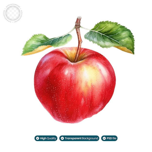 PSD vibrant harvest watercolor apple illustration