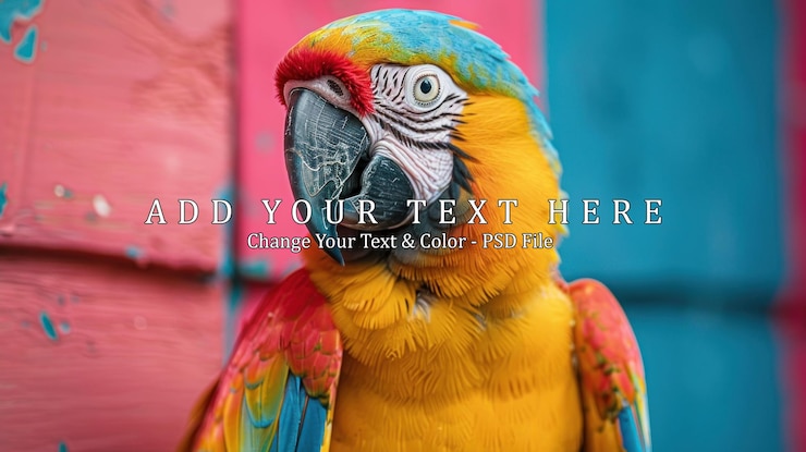 PSD vibrant macaw parrot