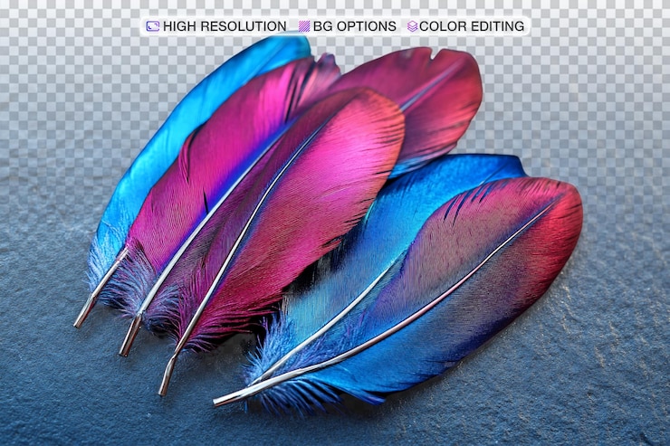 PSD vibrant metallic plumage with dramatic lighting
