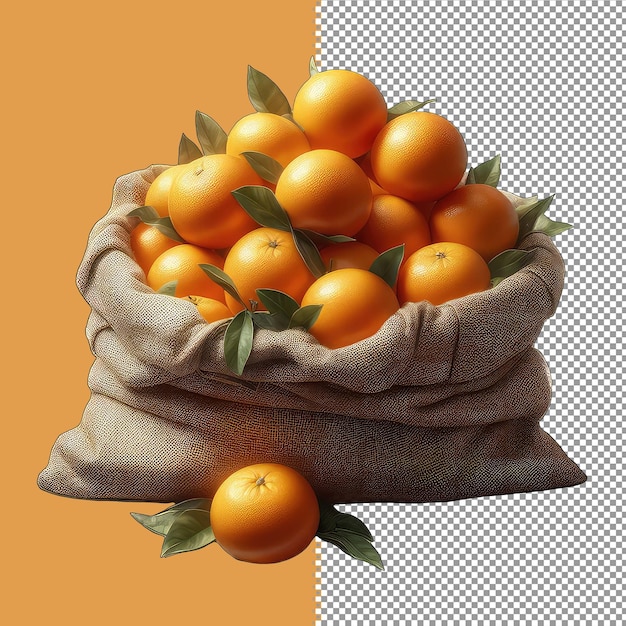 PSD vibrant_oranges_in_sackpng