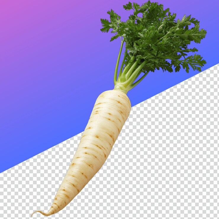 PSD vibrant parsnip png for culinary and graphic use