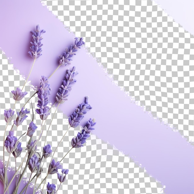 PSD i fiori viola vivaci contrastano splendidamente contro uno sfondo trasparente