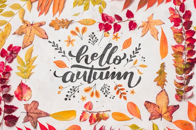 above view autumn decoration with leaves