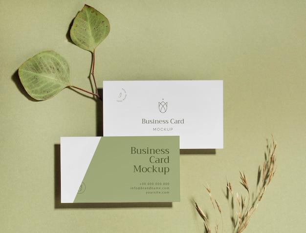 above view business cards with leaves