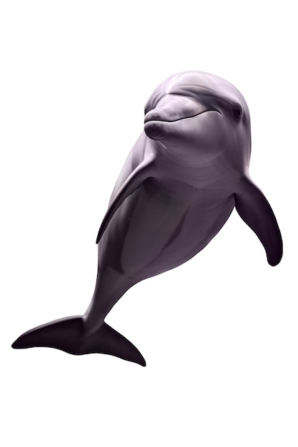 PSD view of dolphin animal