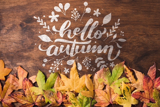 above view leaves frame on wooden background