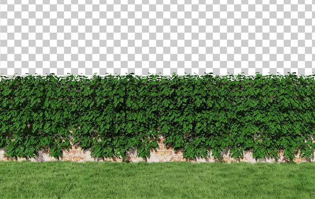 PSD vines on the wall scene with grass field