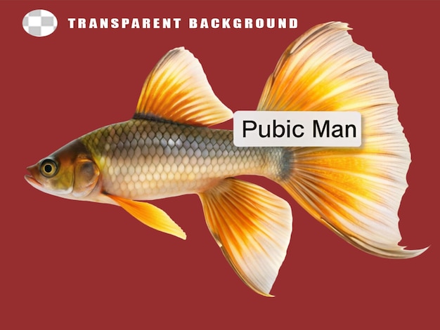 PSD vintage fish illustration on transparent background