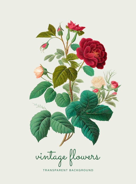 PSD poster di fiori vintage con sfondo verde e la scritta fiori vintage sul fondo.