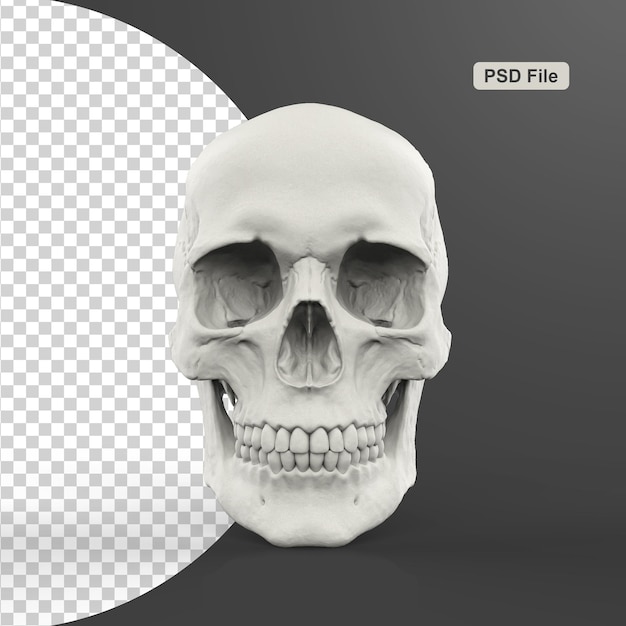 PSD vintage human skull