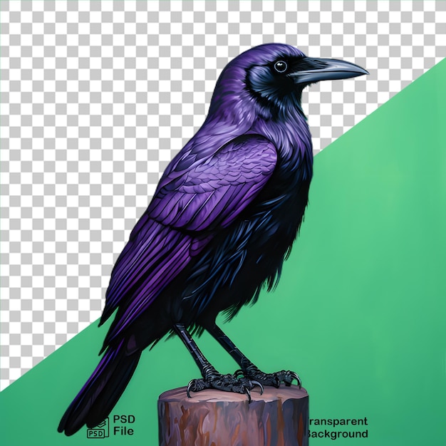 PSD Винтажная иллюстрация ворона на прозрачном фоне png файл