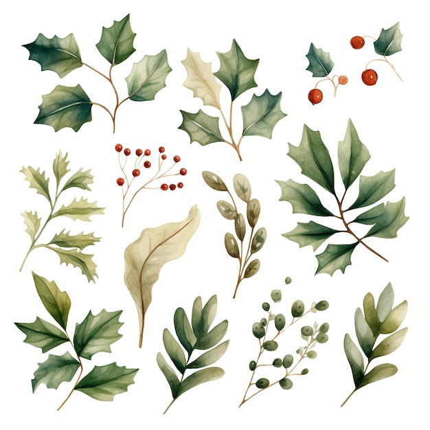 PSD a vintage and retro style illustration of a collection of watercolor leaves
