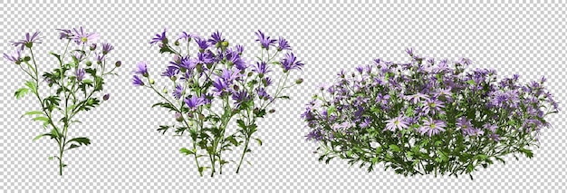 PSD fiori viola arbusti sfondi ritagliati rendering 3d