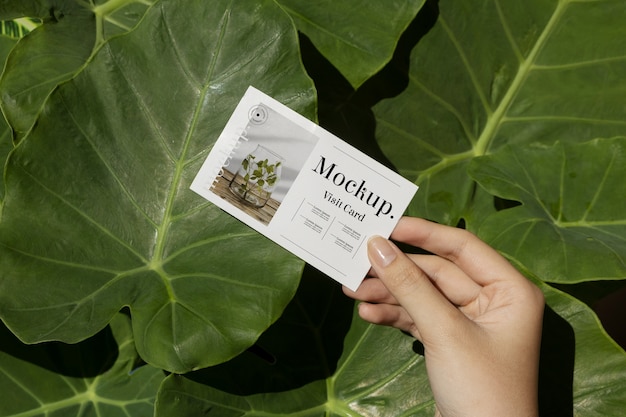 PSD visit card mock-up with green plants