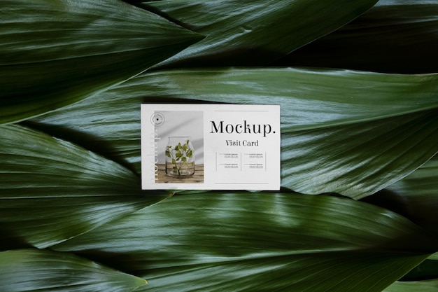 PSD visit card mock-up with green plants