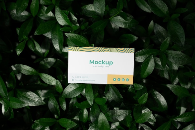 Visit card mock-up with plants background