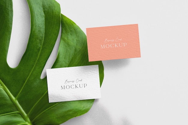 Visitekaartje mockup met monstera leaf