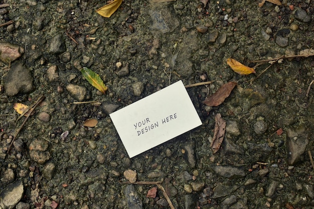 Visiting card mockup on autumn ground