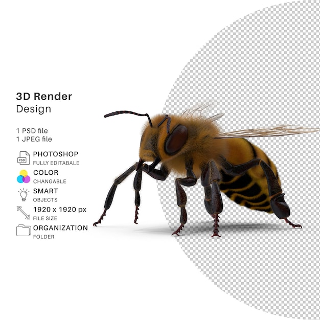 PSD vivid bumble bee 3d modeling lifelike psd design