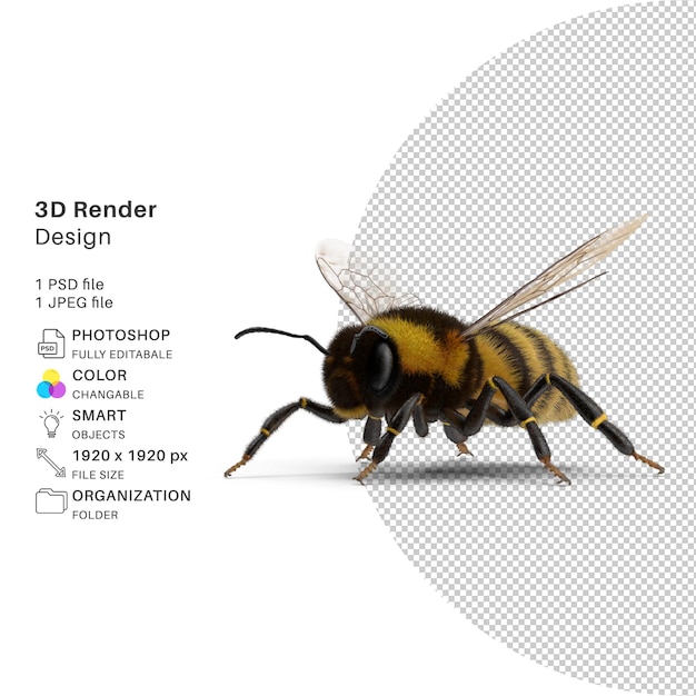 Vivid bumble bee 3d modeling lifelike psd design