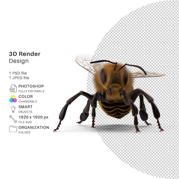 PSD vivid bumble bee modelowanie 3d realistyczny projekt psd