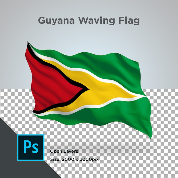 Vlag van Guyana Transparant PSD