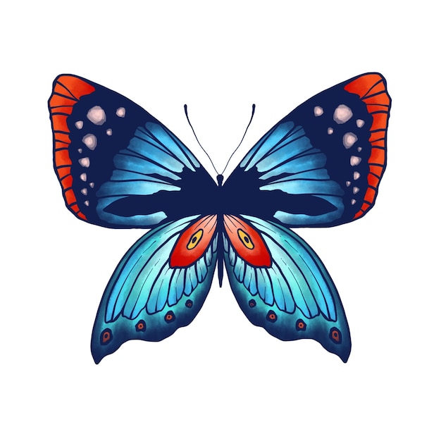 vlinder 14