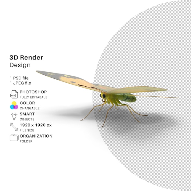 Vlinder 3D-modellering PSD-bestand Realistische vlinder