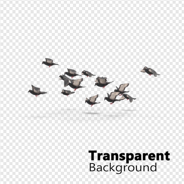 PSD vogels op transparante achtergrond