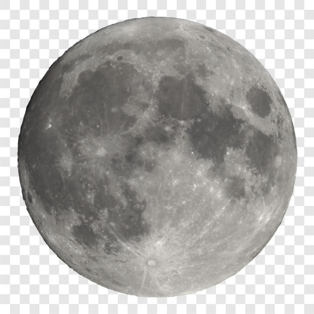 Volmaan doorzichtig