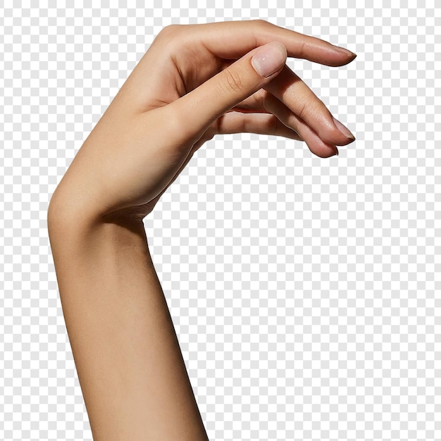 Vrouw hand open geïsoleerde png op transparante achtergrond premium psd